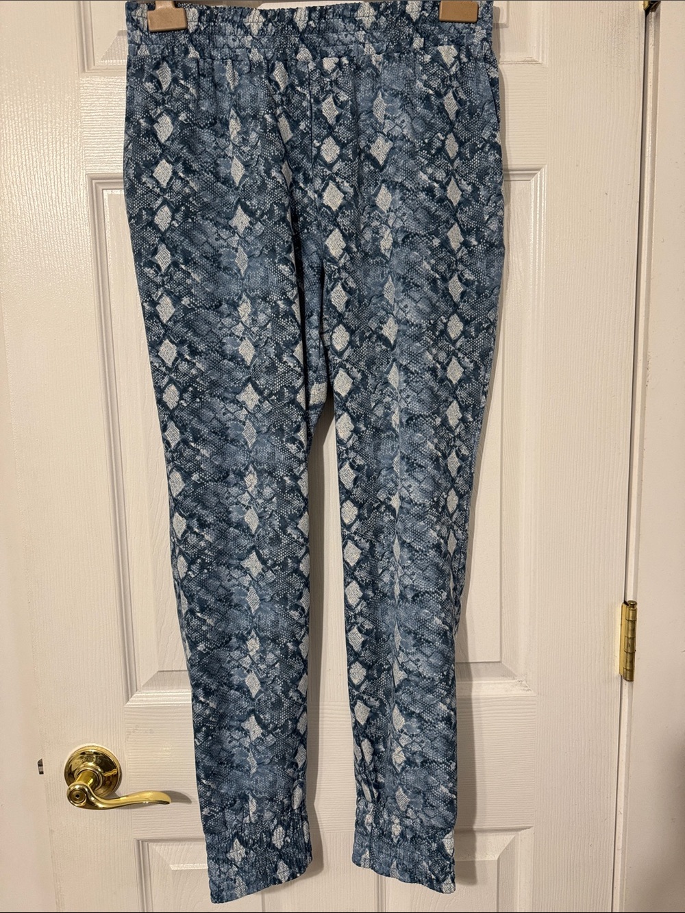 Aqua Blue Snake-Print Jogger Pants